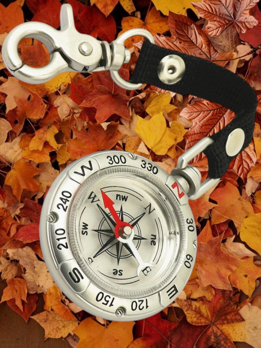 2 for $30 | Compass with Black Strap